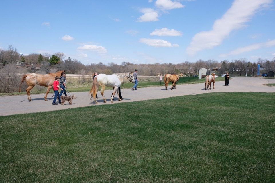 Carson Community Rodeo Parade August 1, 2020 Unleash Council Bluffs