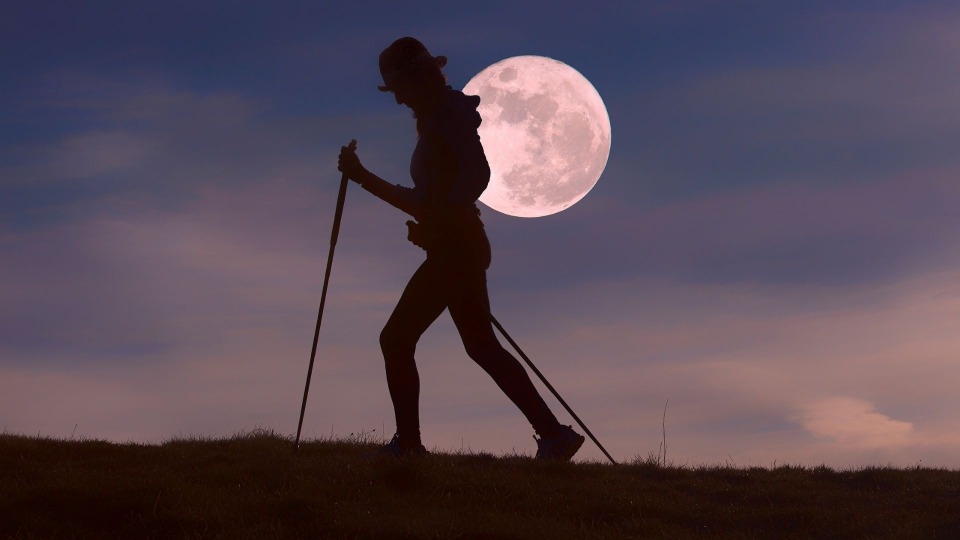 Featured image for Full Moon Hike