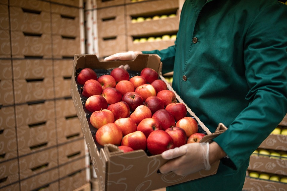 Featured image for Food Business Builders Grant Support Session