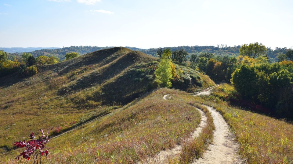 Featured image for Meander & Gander | A mindfulness in Nature Program with Lindsay Knieper