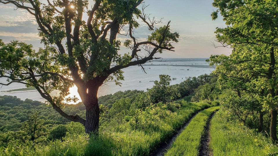 Featured image for Homeschool in the Hills AM | Loess Hills Geology