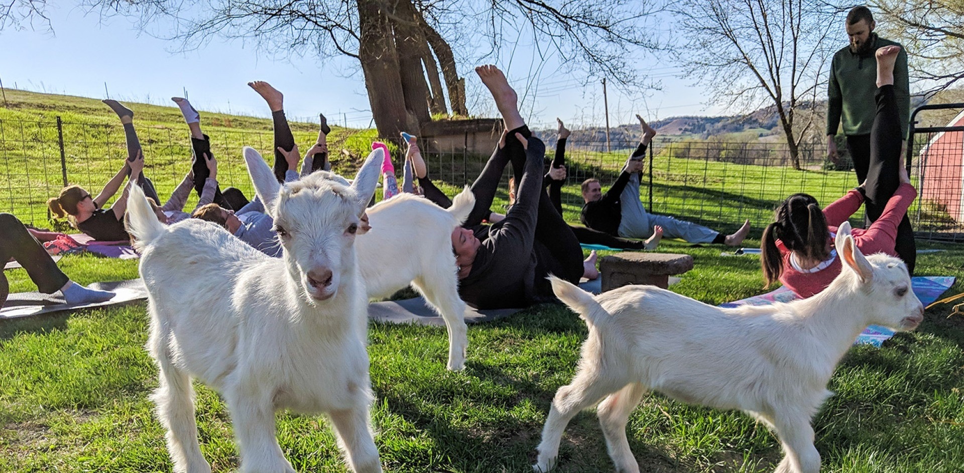 Namaste Goat Yoga - May 13, 2023 - Unleash Council Bluffs