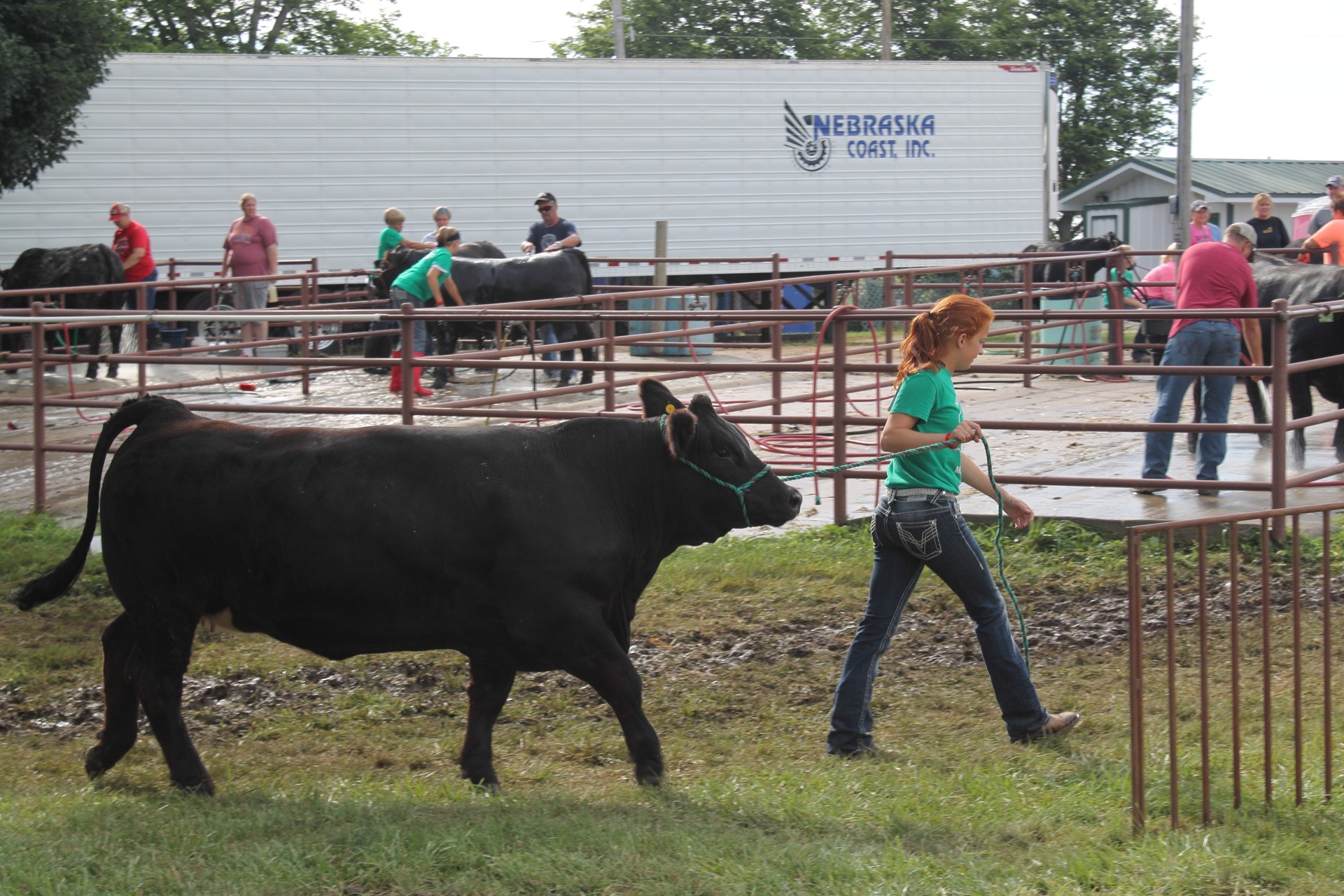 Westfair West Pottawattamie County Fair July 26 31 Council