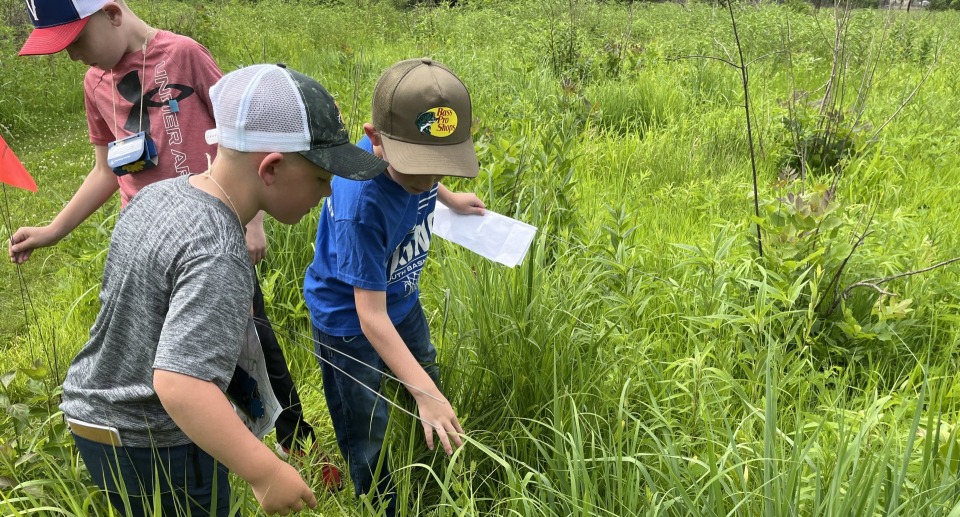 Featured image for Wild Ones Summer Camp | Botna Bend Park