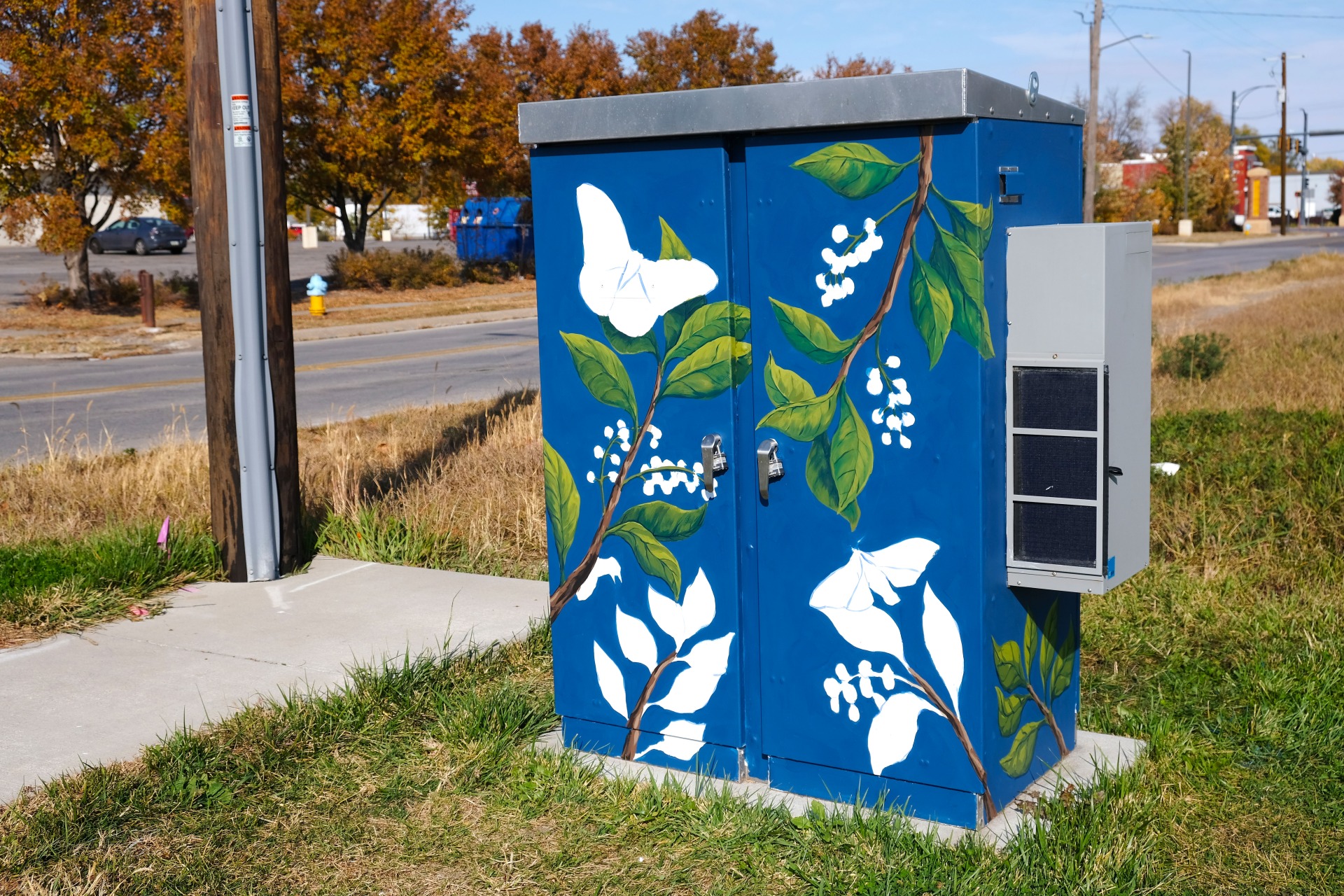 28th Street Mini Mural