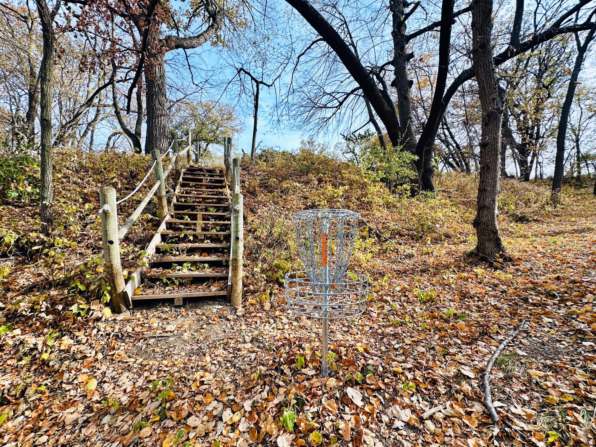 Disc Golf at Fairmount Park